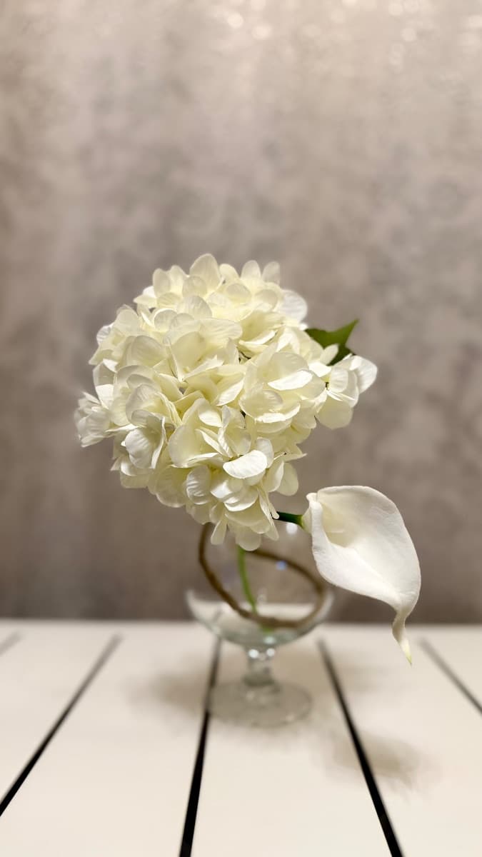 Hydrangea